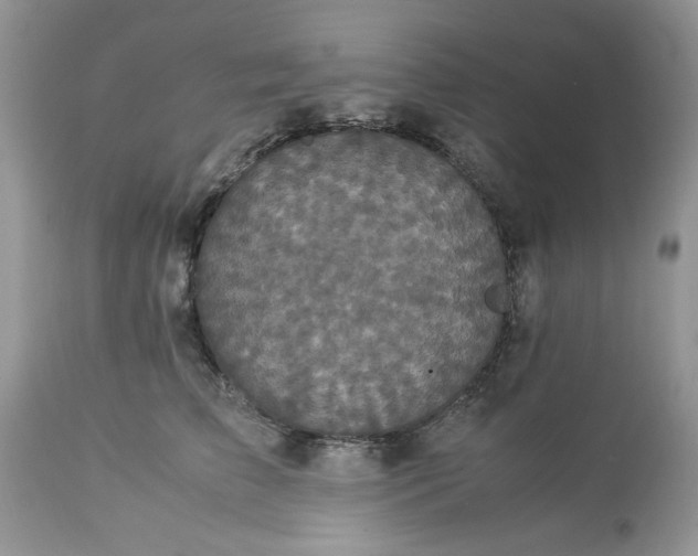 X0000113070709200909110940