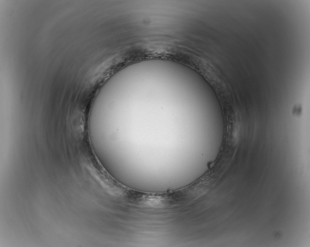 X0000113070710200909110940