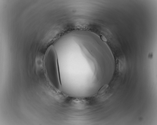 X0000113070712200909110940