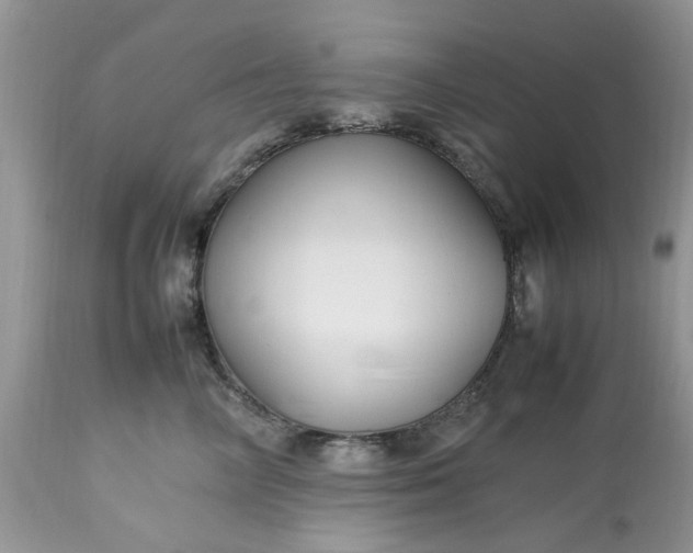 X0000113070714200909110940