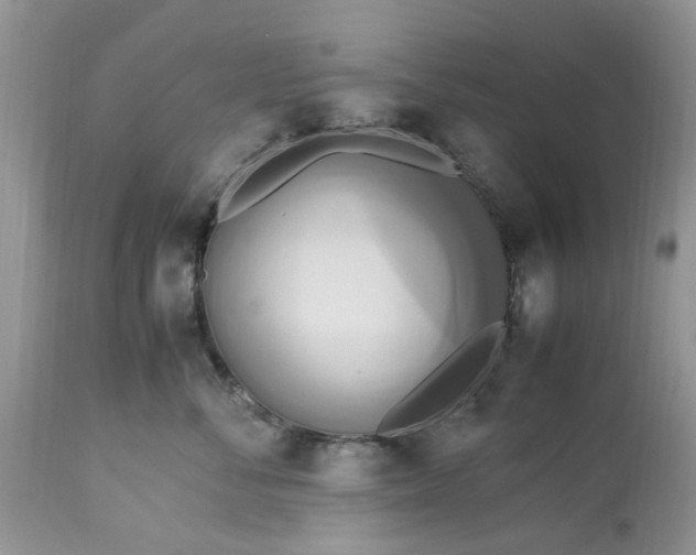 X0000113070716200909110940