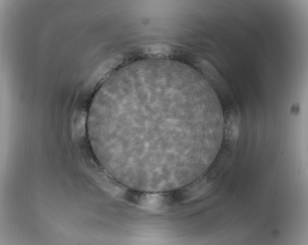 X0000113070717200909110940