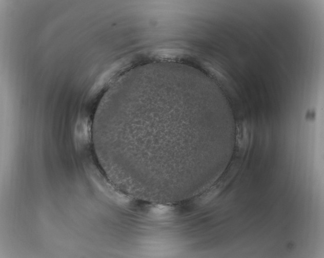 X0000113070718200909110940