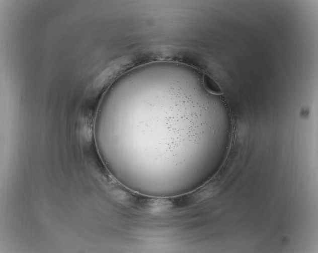 X0000113070719200909110940