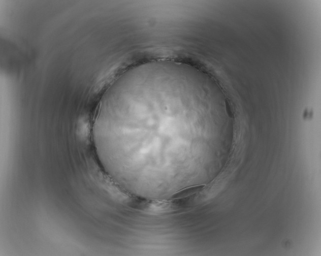 X0000113070720200909110940