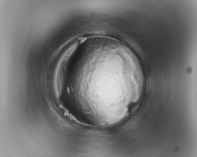 X0000113070722200909110939