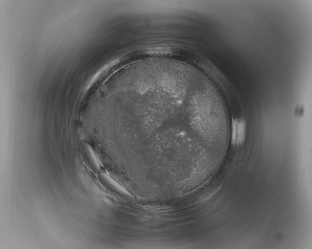 X0000113070723200909110939