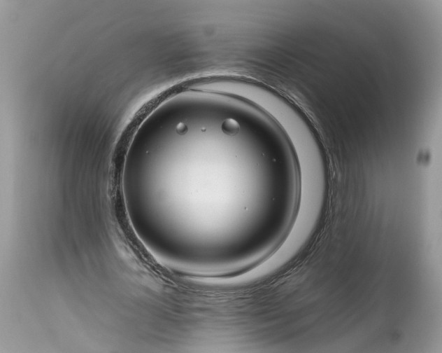 X0000113070724200909110940