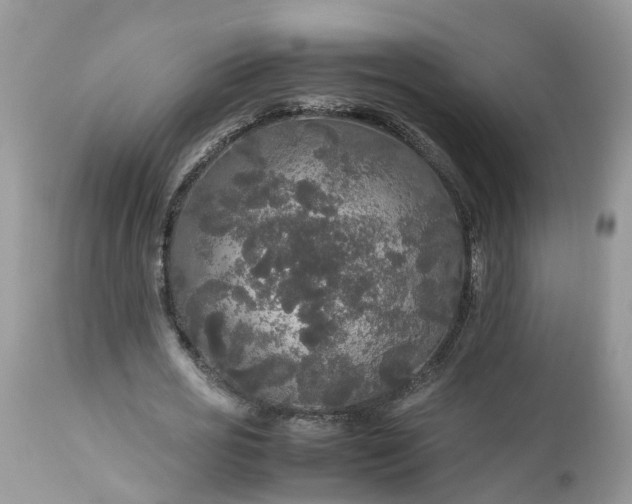 X0000113070725200909110940