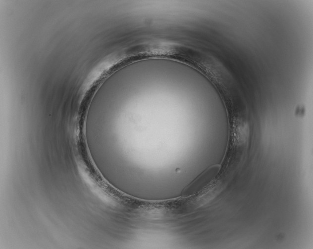 X0000113070726200909110940