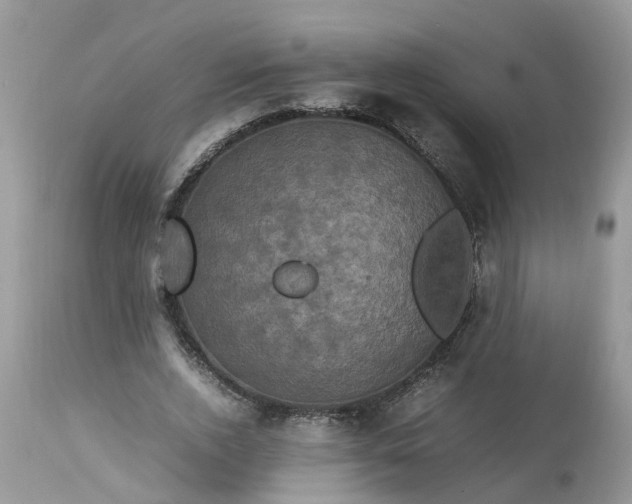 X0000113070728200909110940