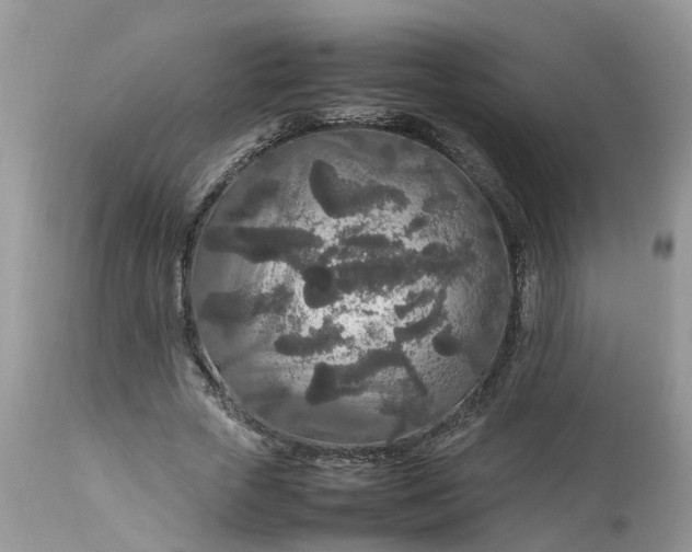 X0000113070729200909110940