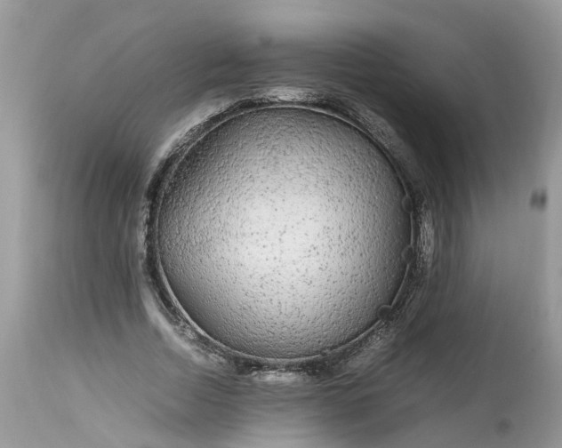 X0000113070730200909110940