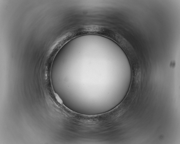 X0000113070731200909110940