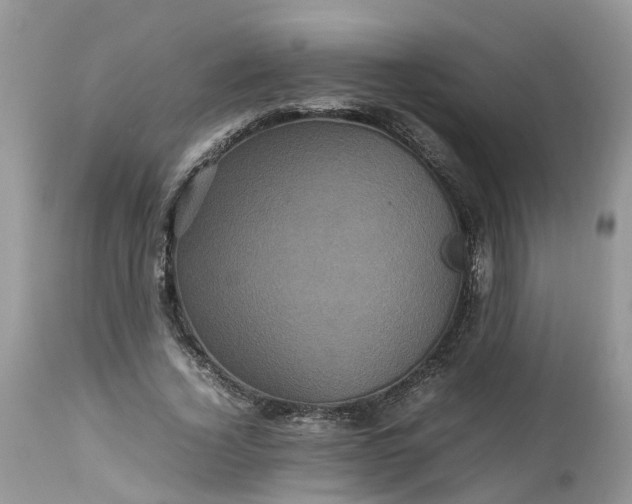 X0000113070732200909110940