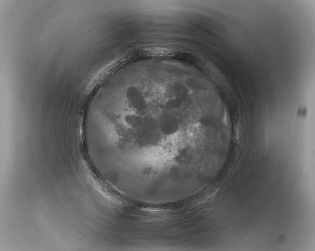 X0000113070733200909110940