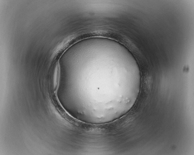 X0000113070734200909110940