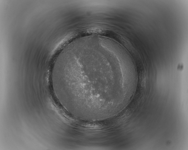 X0000113070735200909110940