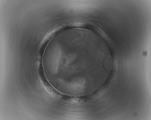 X0000113070736200909110940