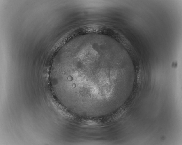 X0000113070737200909110940