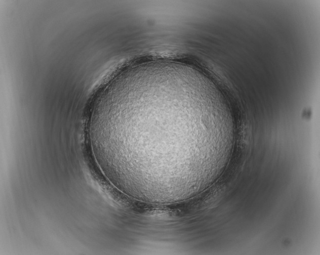 X0000113070738200909110940