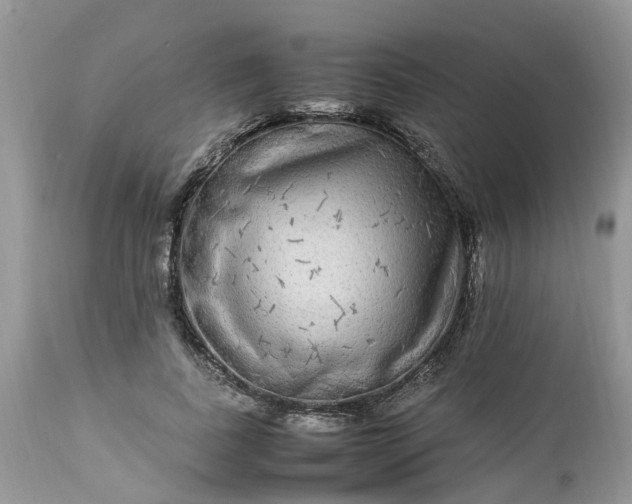 X0000113070739200909110940