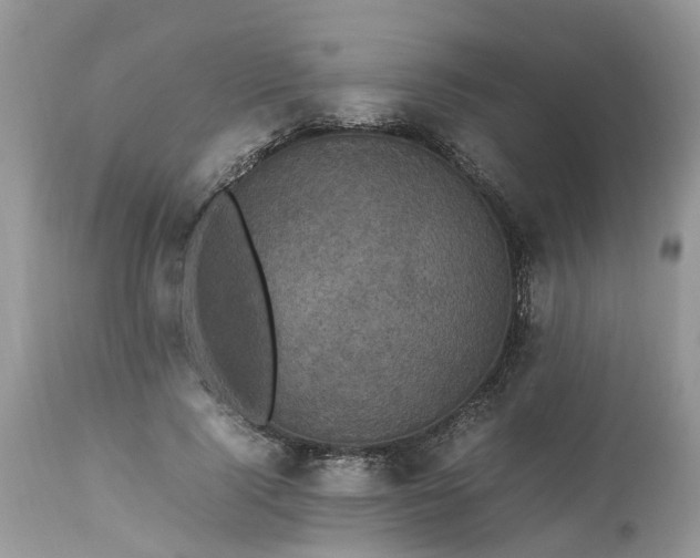 X0000113070740200909110940