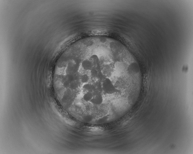 X0000113070741200909110940