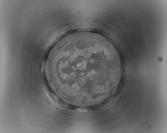 X0000113070742200909110940