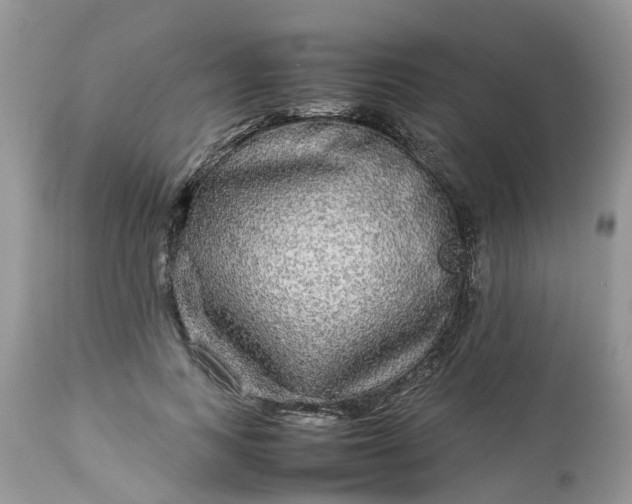 X0000113070743200909110940