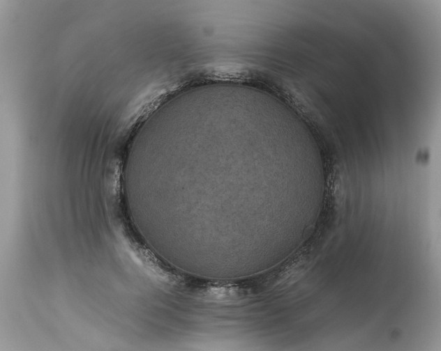 X0000113070744200909110940