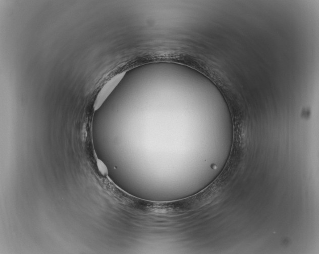 X0000113070746200909110940