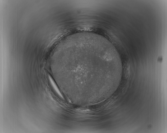 X0000113070747200909110940