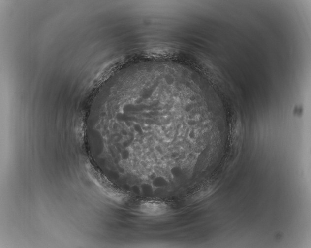 X0000113070749200909110940