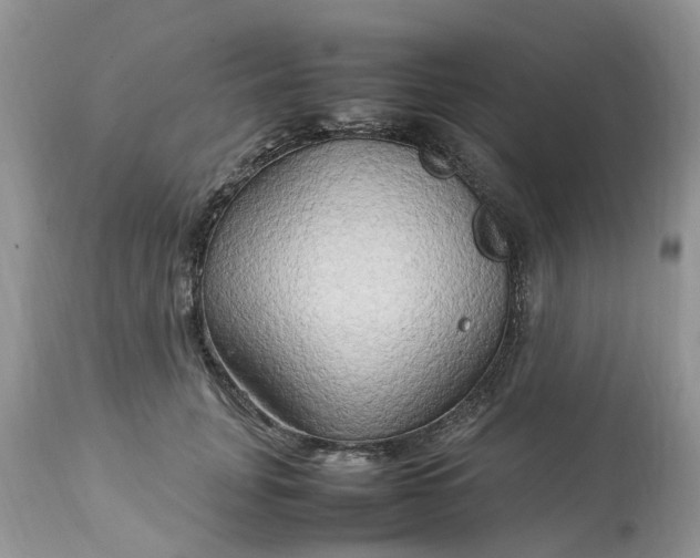 X0000113070751200909110940