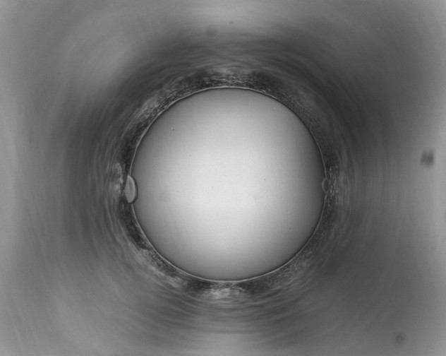 X0000113070752200909110940