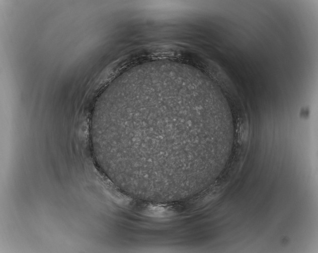 X0000113070753200909110940