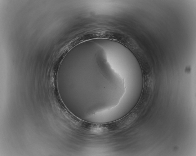 X0000113070754200909110940