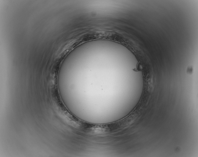 X0000113070756200909110940