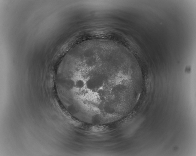 X0000113070757200909110940