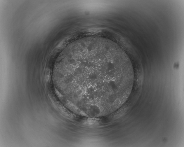 X0000113070758200909110940