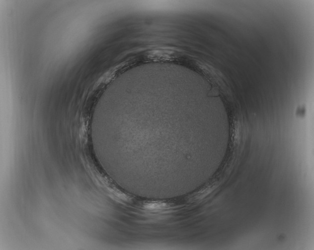 X0000113070759200909110940