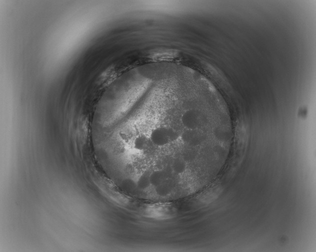 X0000113070761200909110940