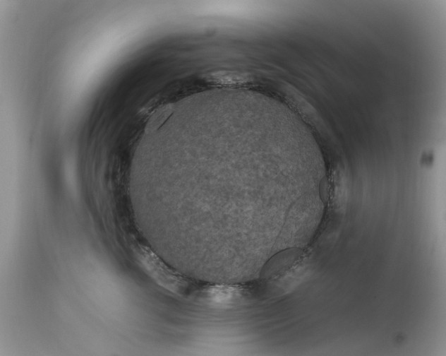 X0000113070762200909110940