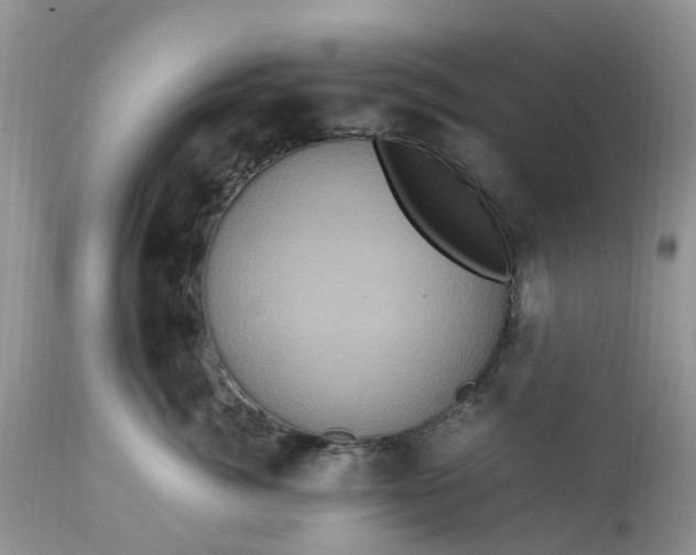 X0000113070764200909110940