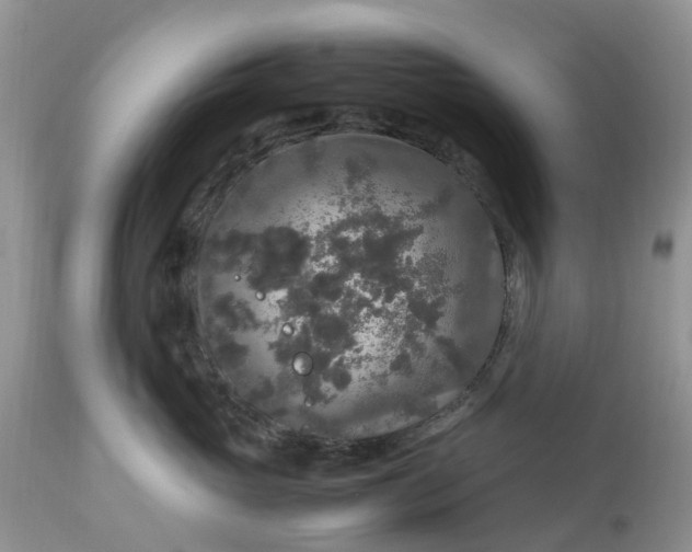 X0000113070765200909110940