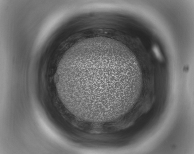 X0000113070766200909110940