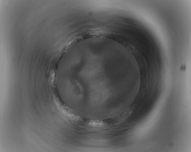 X0000113070767200909110940