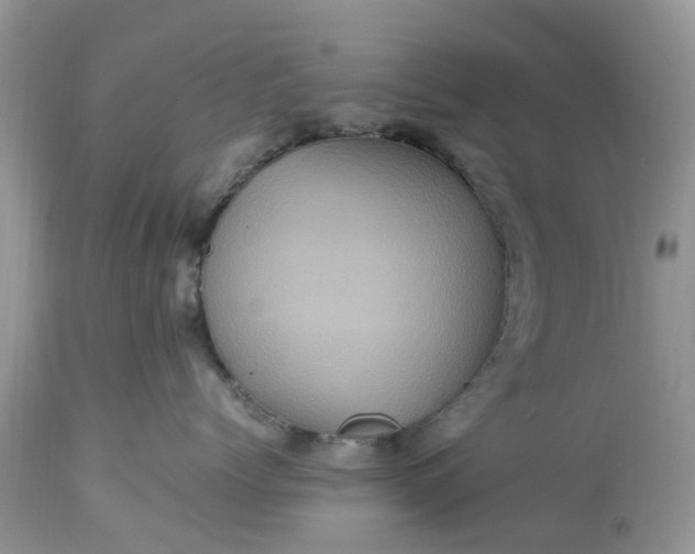 X0000113070768200909110940