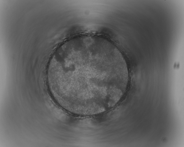 X0000113070769200909110939